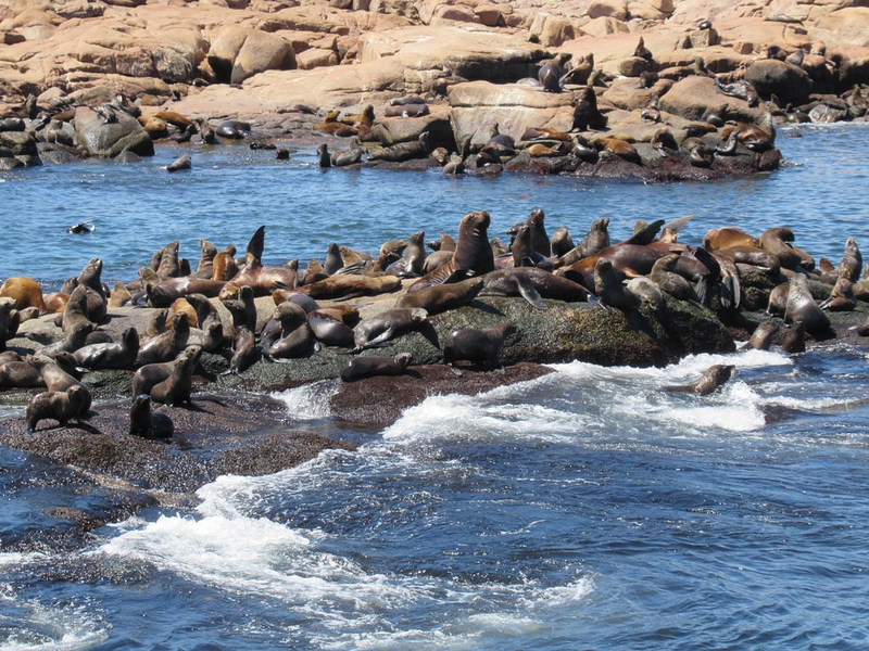 Isla de Lobos